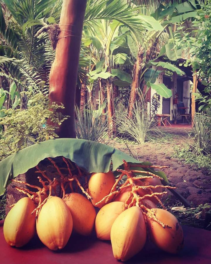 La Urraca Loca Hostel Balgue Bagian luar foto